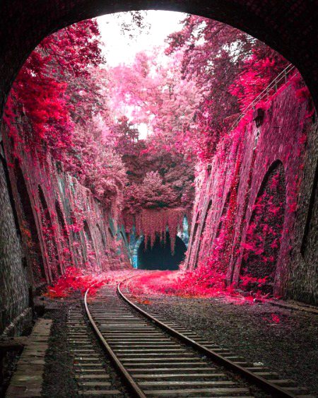 Gorgeous Flowers in Paris 💟💟💟💟