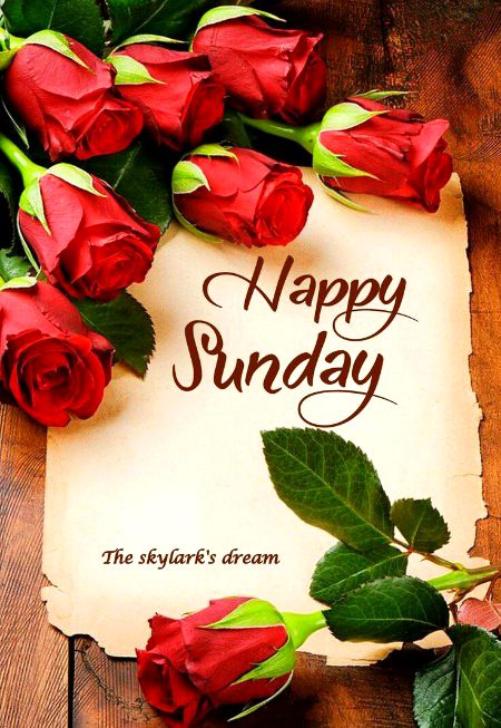 Beautiful Nature image