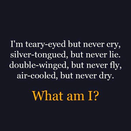 Riddles & Puzzles image