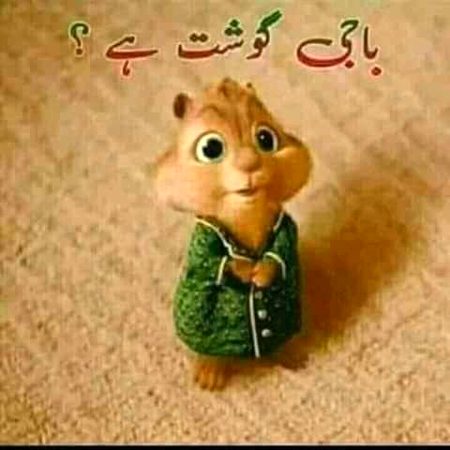 Baaji ghosht bacha hai