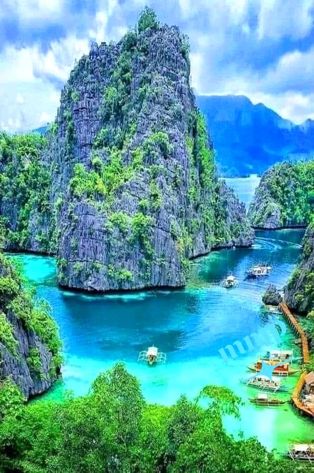 Beautiful Nature image
