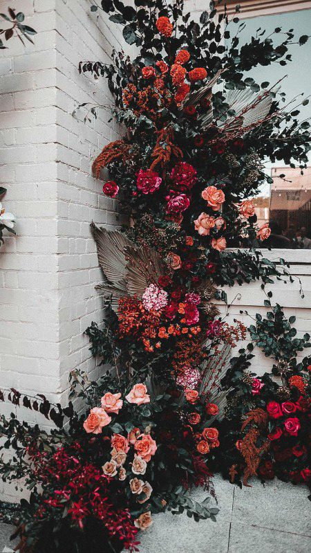 Beautiful Nature image