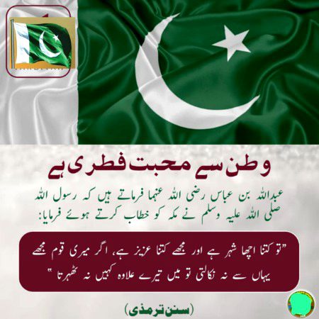 وطن سے محبت فطری عمل ہے