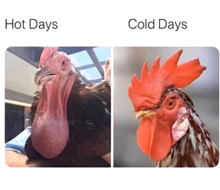 🤭🤭🤭cold & Hot