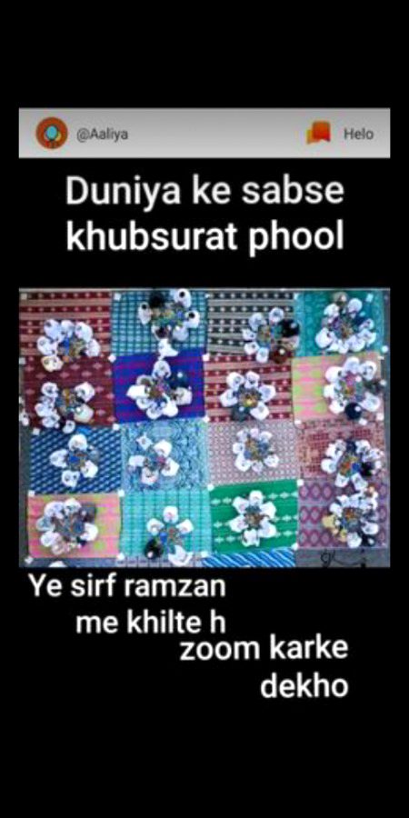 Khubsurat phool 😍💜💫💯