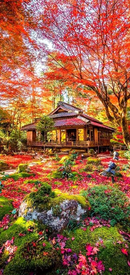 Beautiful Nature image