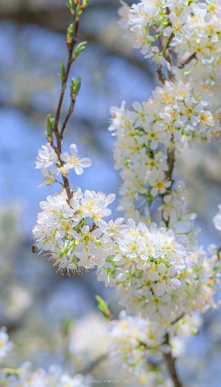 Beautiful Nature image