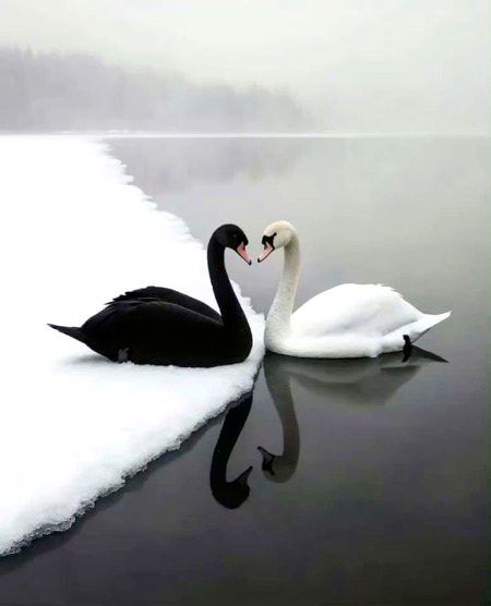 Beautiful Nature image