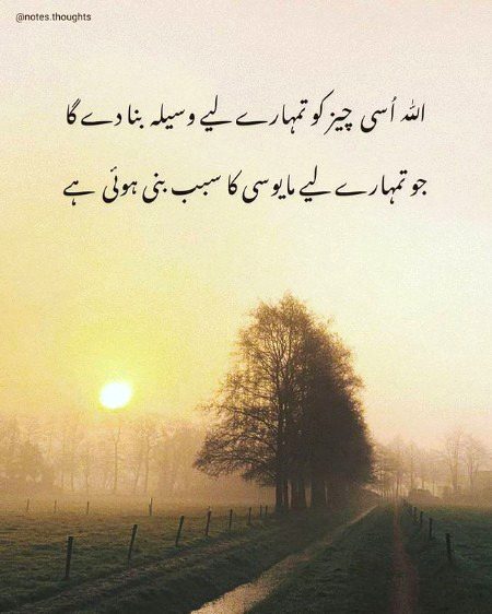 Islamic Quotes image