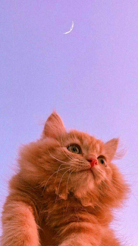 Beautiful Nature image