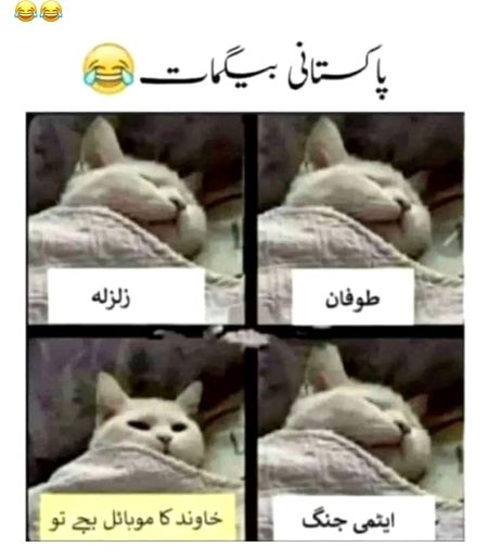 Memes & Satire image