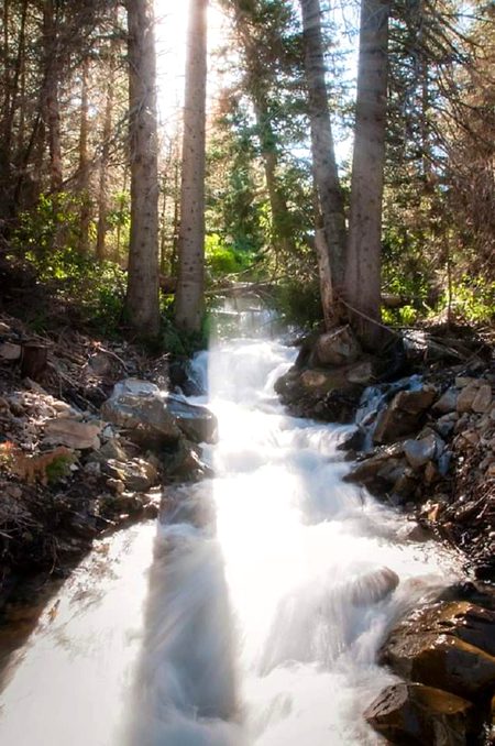 Beautiful Nature image
