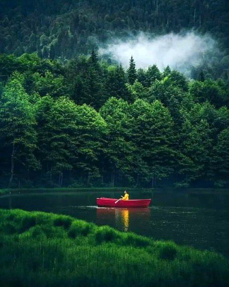 Beautiful Nature image