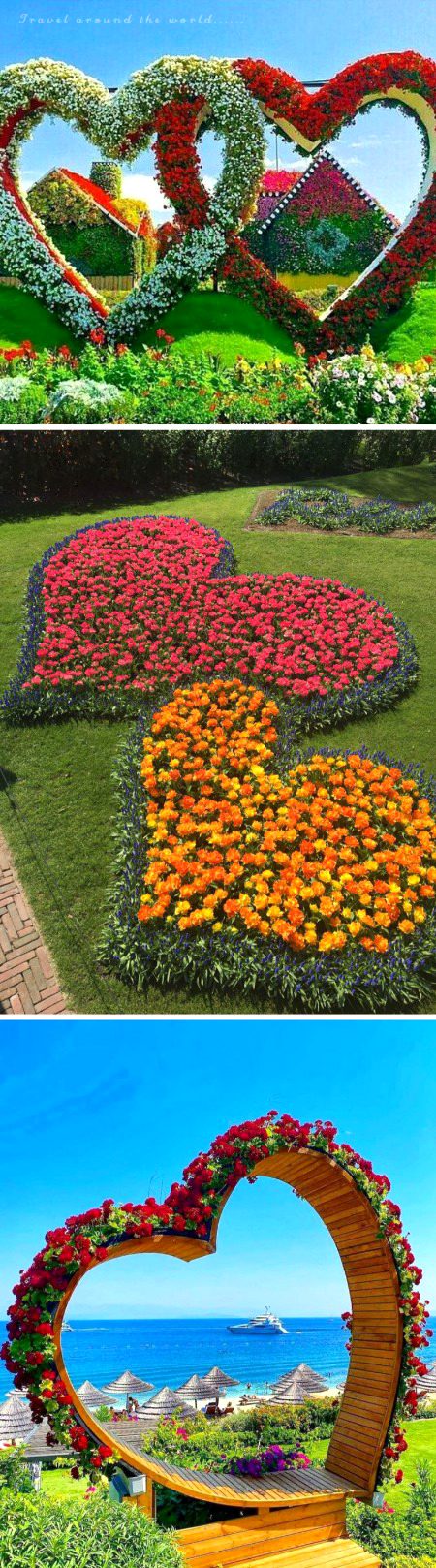 Beautiful Nature image