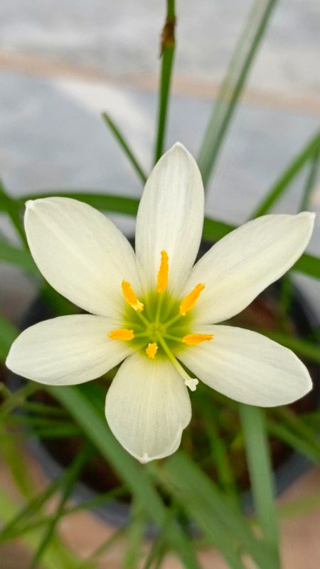 Beautiful Nature image