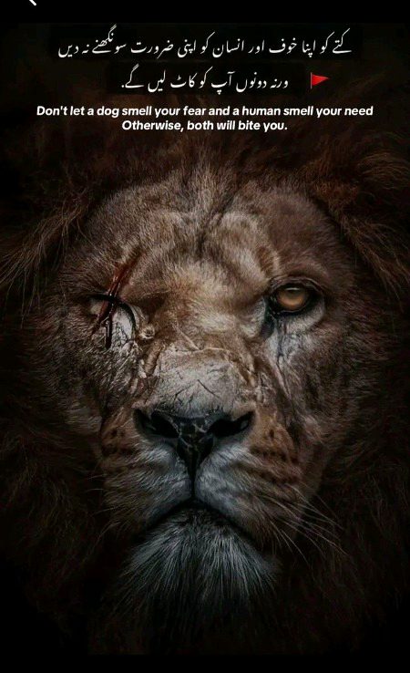 Attitude Quotes image