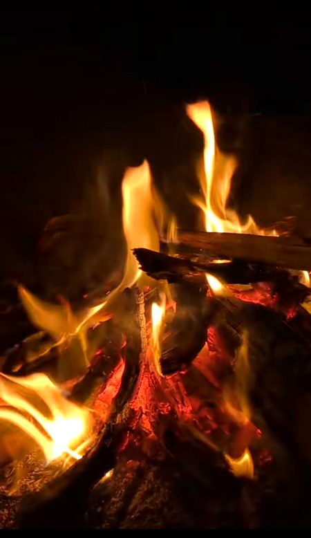 محبوب دنیا کا واحد قاتل ہے جس کے پاس ہم خود مرنے کے لیے جاتے ہیں۔۔۔