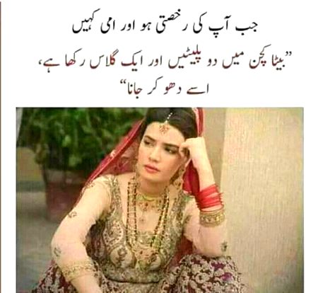 Memes & Satire image