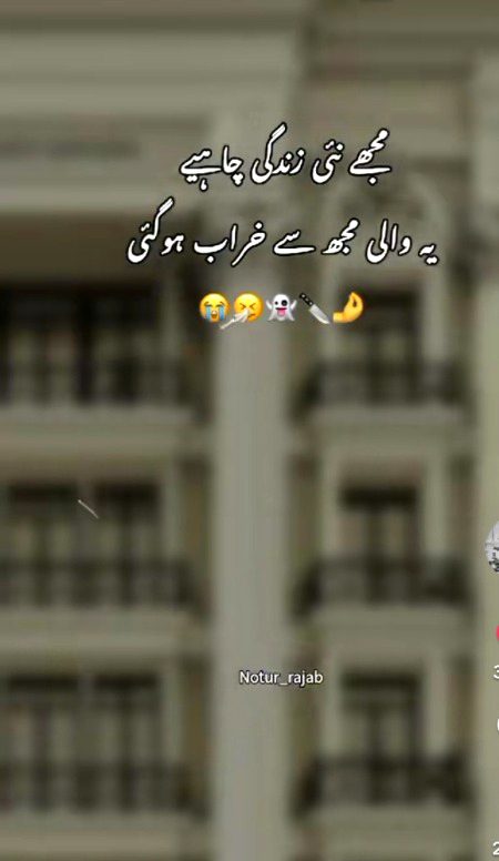 Memes & Satire image