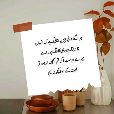 Life Advice image