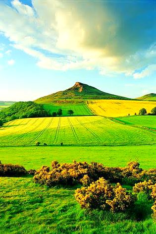 Beautiful Nature image