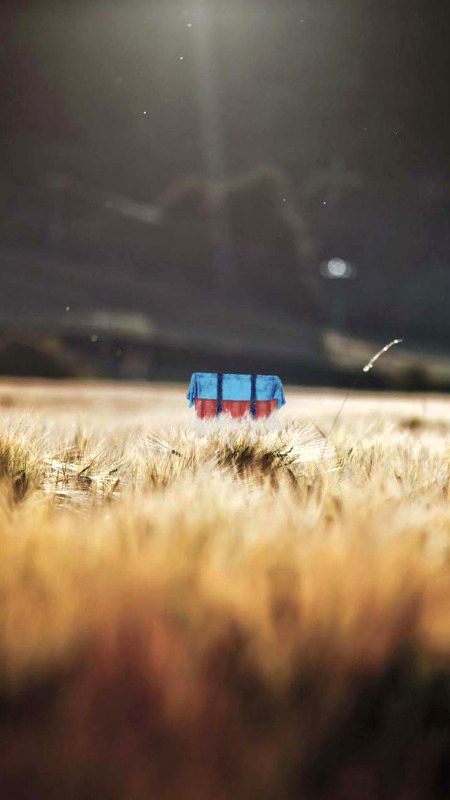 Beautiful Nature image