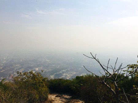 Beautiful Nature image