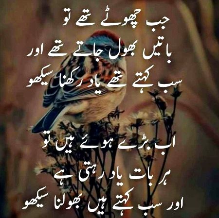 Tora dil dukhy ga soooo🌚
Mazrat🙏ke sath ...ub tmhary hi lehjy m bt ho gi🆗👽