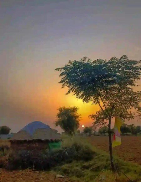 Beautiful Nature image