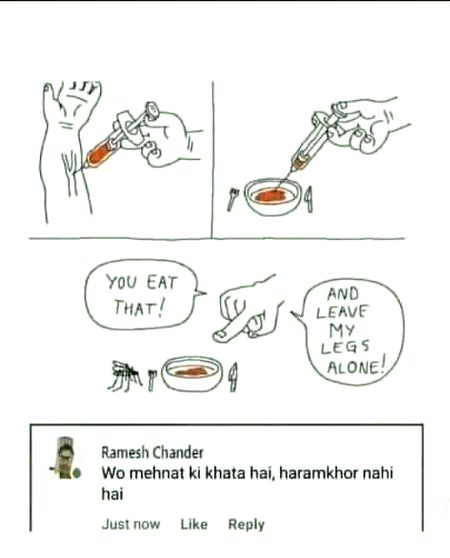 Memes & Satire image