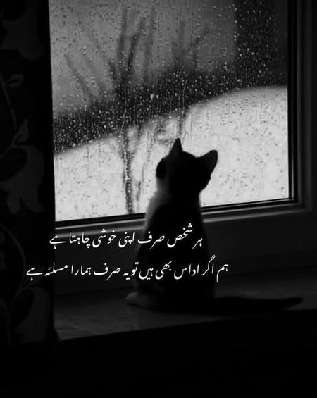 ہماری ڈار کا پنچھی کسی کی قید میں ہے
ہم اس پہ شور مچائیں تو مارے جاتے ہیں
    🖤