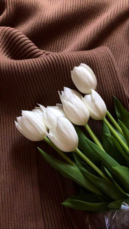 Beautiful Nature image