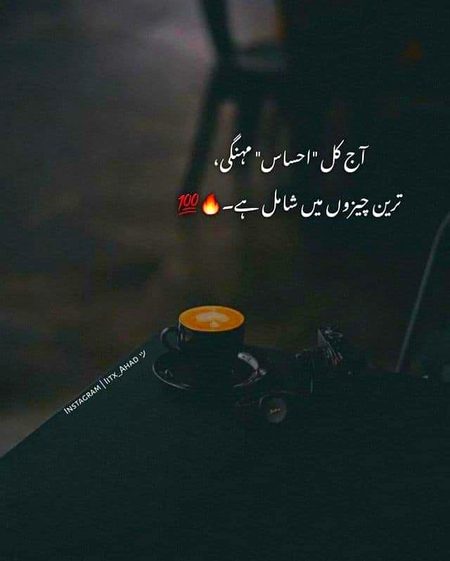 اور آج کل کسی کے پاس احساس کی کوئی قدرو قیمت نہیں ۔۔افسوس 💔
