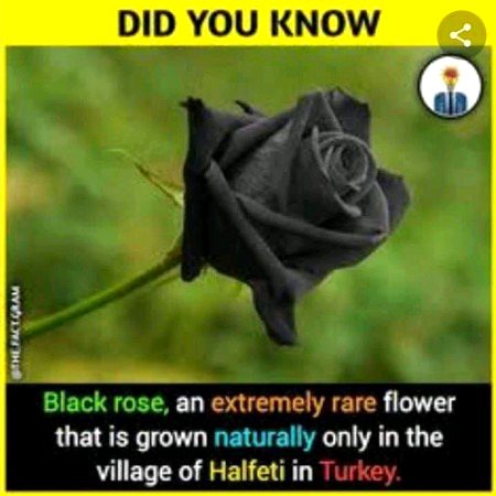 Interesting Posts image