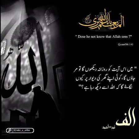 Islamic Quotes image