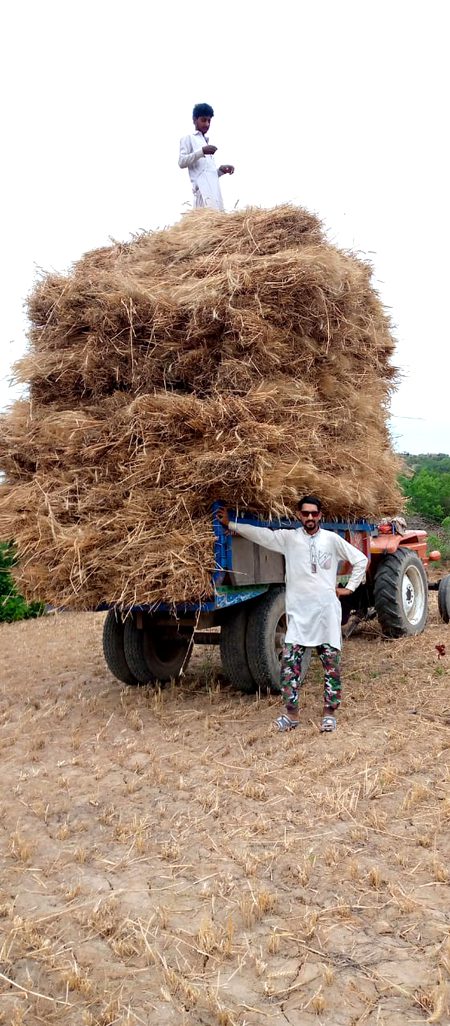 Beautiful Nature image