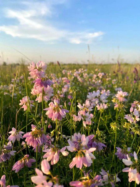 Beautiful Nature image