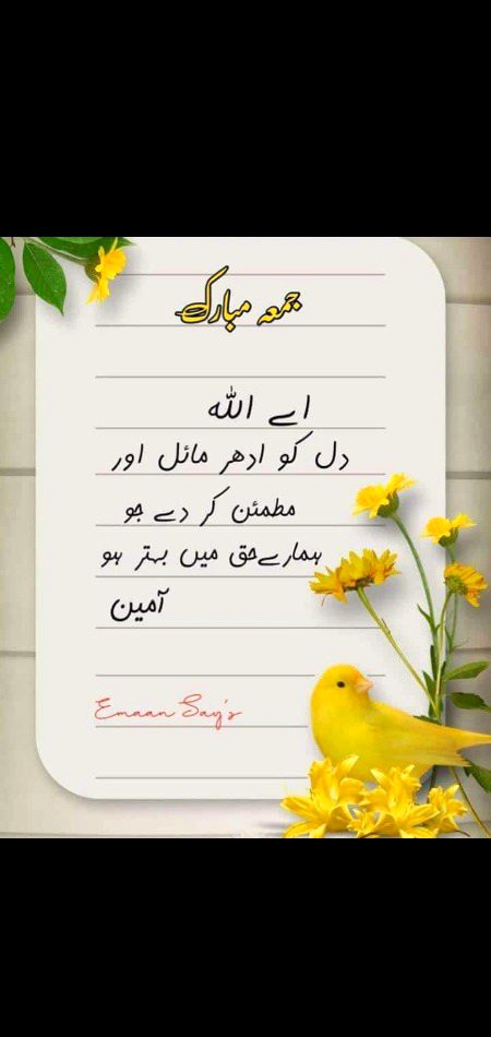 Ameen✨Shahnoor Abbasi💞