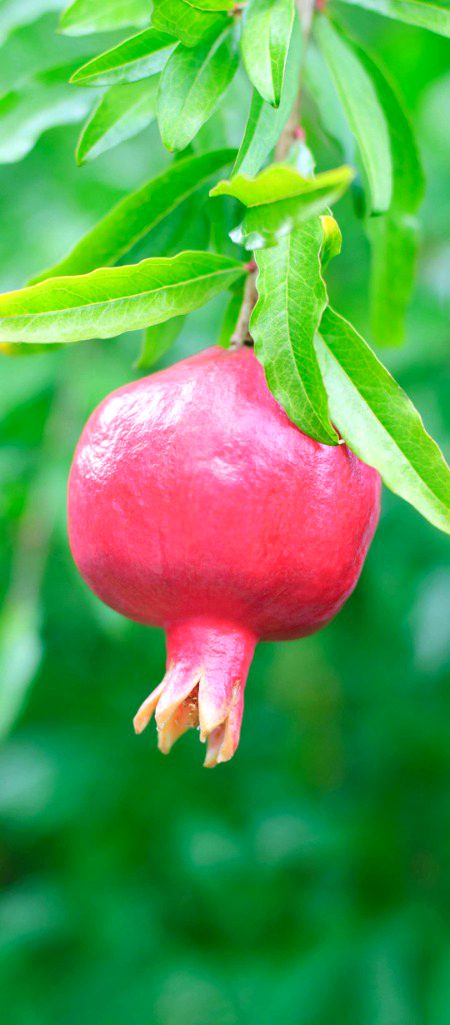 Beautiful Nature image