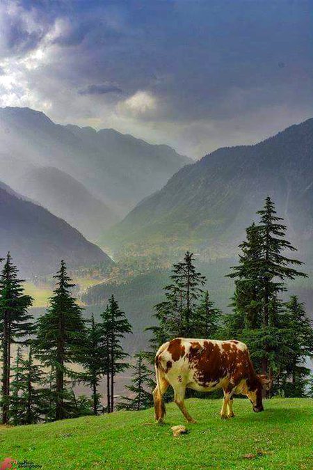 Beautiful swat valley💕