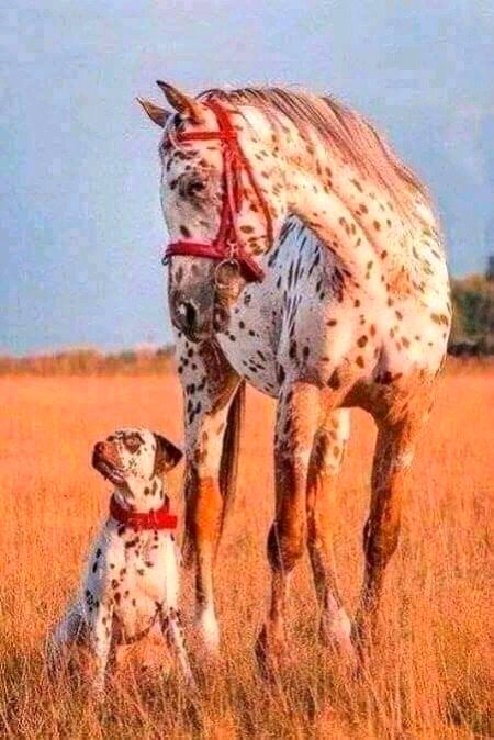 Beautiful Nature image