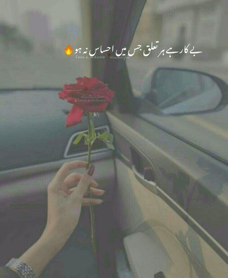 Life Advice image