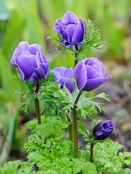 Beautiful Nature image