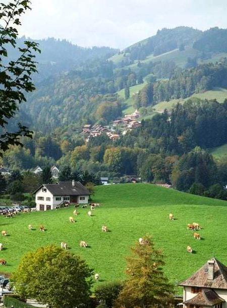 Beautiful Nature image