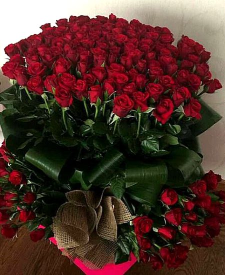 Beautiful Nature image