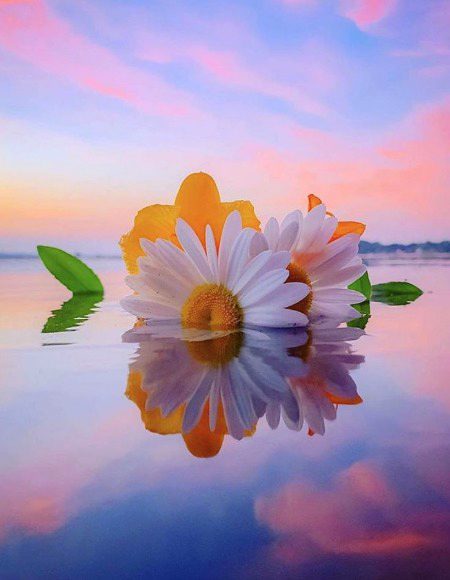 Beautiful Nature image