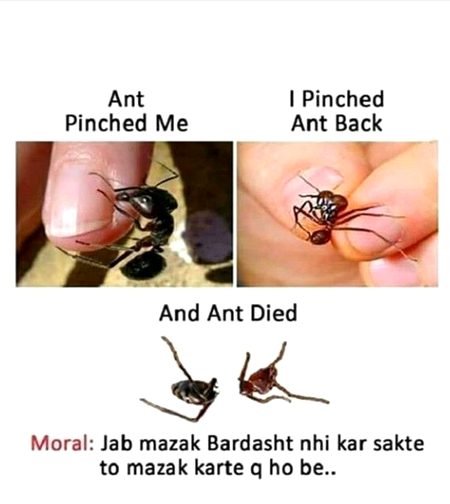 🥀.....