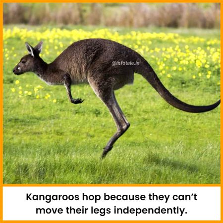 Interesting Posts image