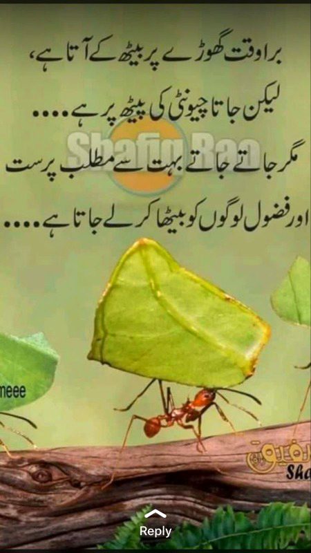 Bilkul thek🙄🙄