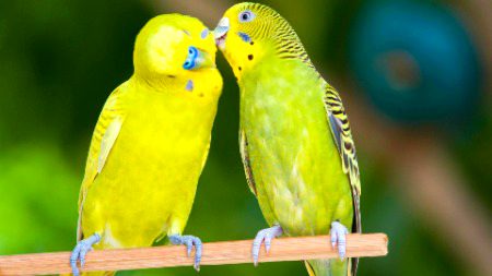 Beautiful Nature image